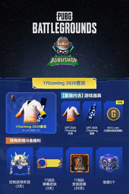 SKIN " 17GAMING "